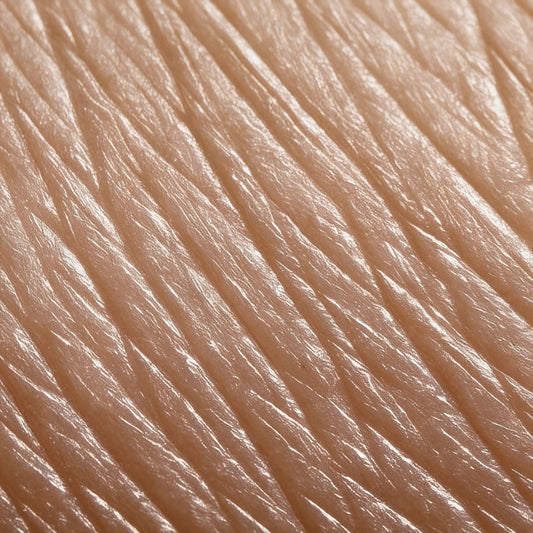 Factors Affecting the Skin Microbiome