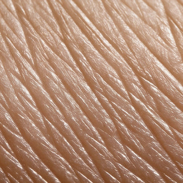 Factors Affecting the Skin Microbiome