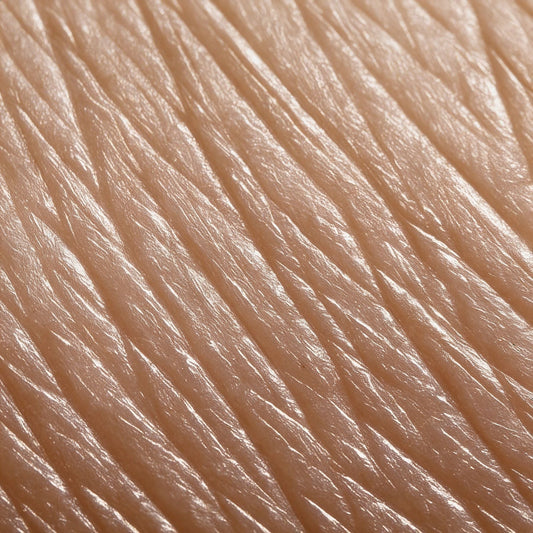 Factors Affecting the Skin Microbiome